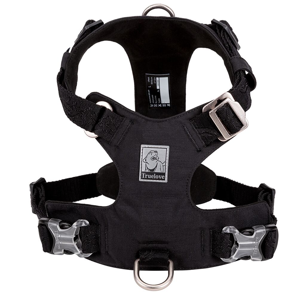 רתמה מומלצת